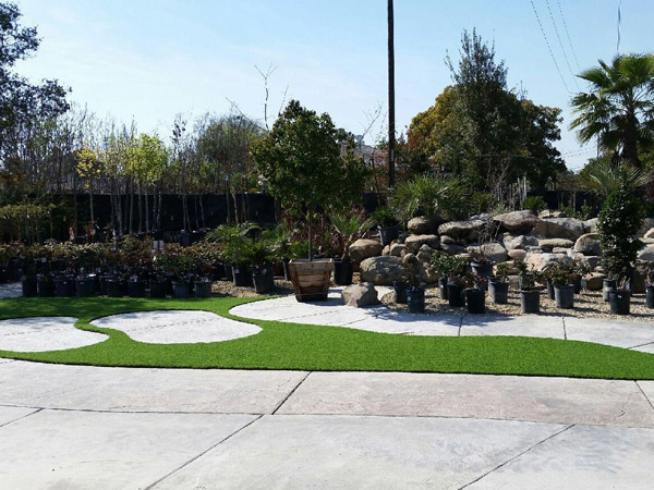 business yard landscaped with synlawn
