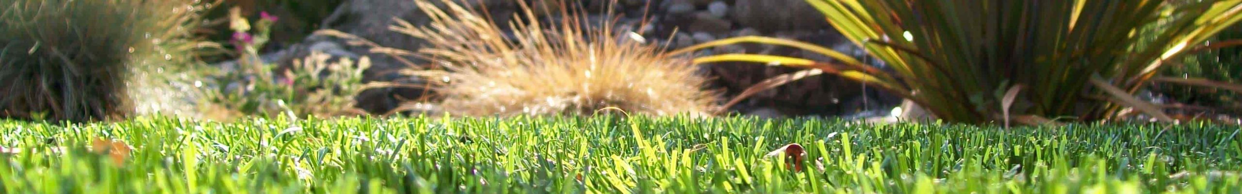 artificial grass close up