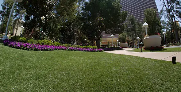 Close up shot of SYNLawn Commercial artificial lawn