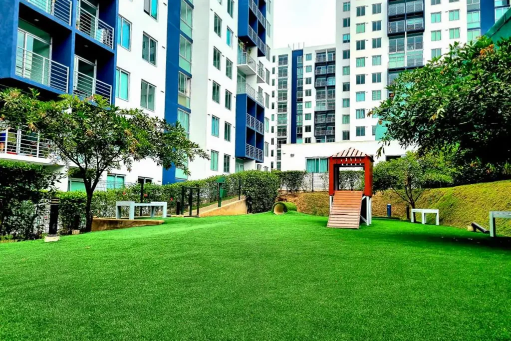 Artificial grass dog run in San Luis Obispo, CA