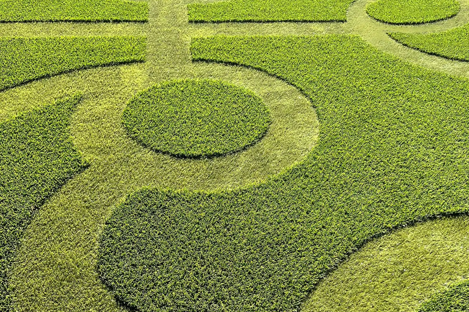 central-coast-ag-faq-image-2