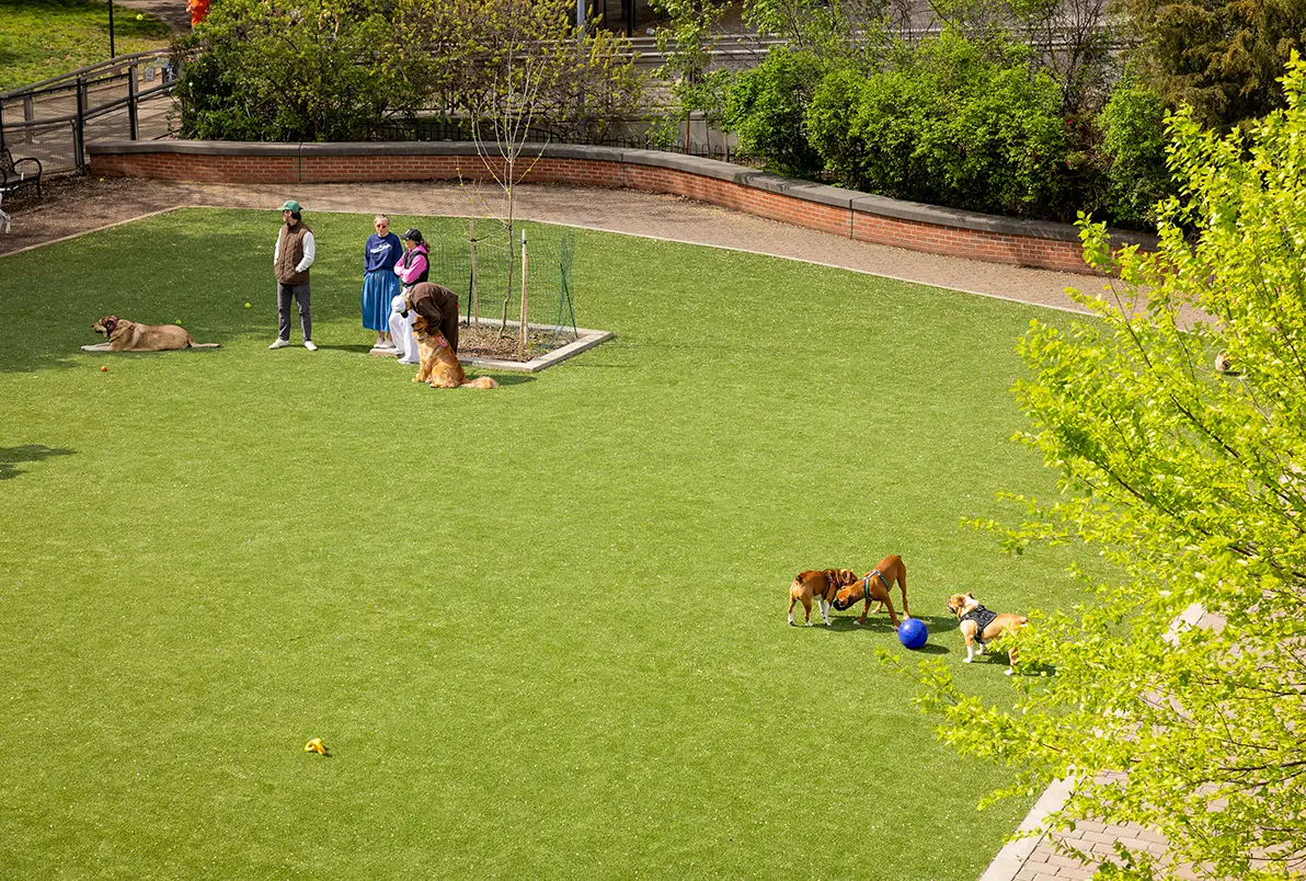 synlawn-cc-park-turf-img-9