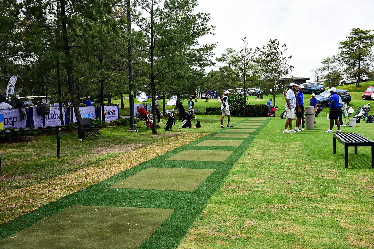 synlawn-cc-teeline-turf-img-2