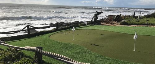 Golf green with a dolphin statue overlooking the ocean