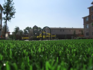 commercial-10