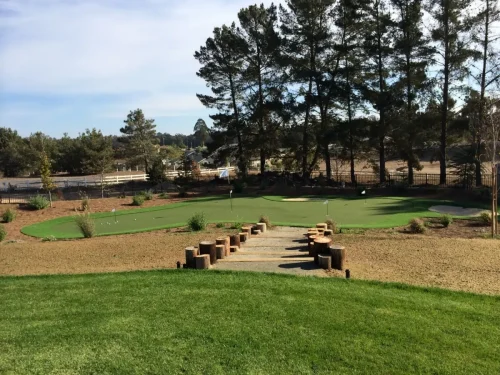 synlawn-central-coast-golf-gal-7